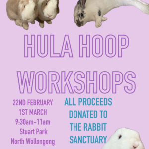 Hula Hoop Workshop FUNDRAISER Ticket